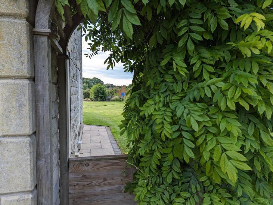 Millfield Cottage 约克 外观 照片